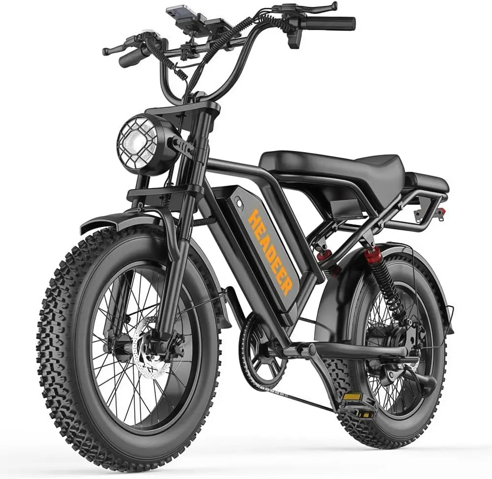 BK20 Bicicleta eléctrica para adultos, 48 V 20 Ah, homologada según las normas CE y 15194, gran autonomía de 60-100 km, todoterreno, 7 marchas