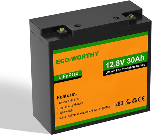 ECO-WORTHY Bateria LiFePO4 de 12 V y 30 Ah con sistema de gestión de batería (BMS), protección y 15 000 ciclos como máximo, caravanas, barco